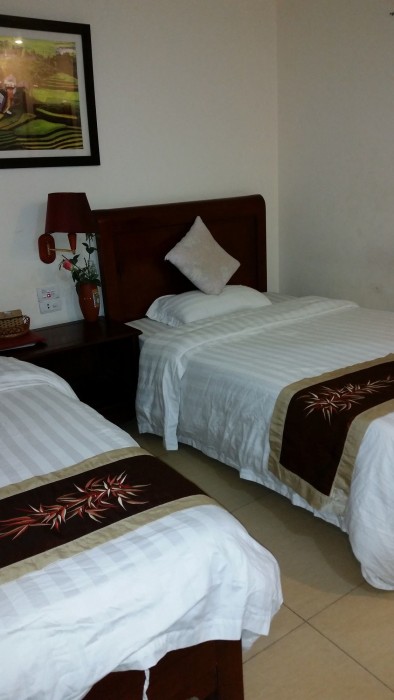 sapa lake view hotel