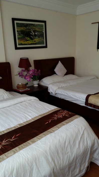 sapa lake view hotel