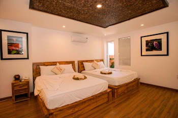 rex hotel and apartment