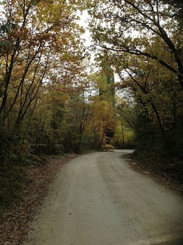 la canonica di san michele