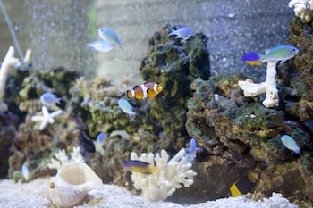 Almont Hotel Naha Kenchomae,Okinawa>>Naha,3 star