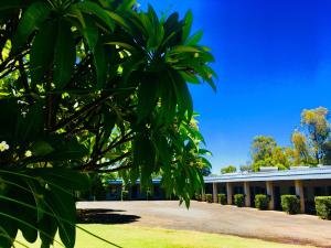 Balonne River Motor Inn,Roma>>Queensland,3 star