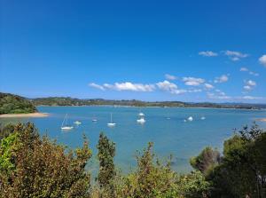 paihia