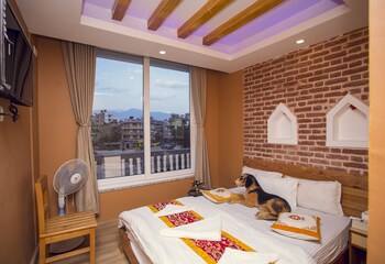 blue mountain home stay