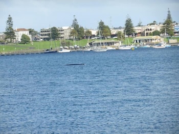 Melaleuca Motel,Portland>>Port Campbell,3 star