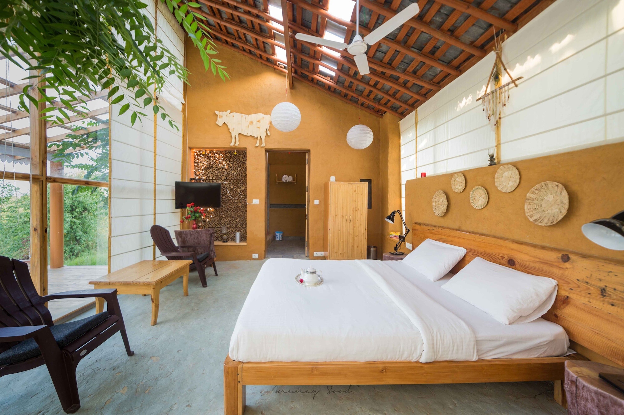 seclude palampur