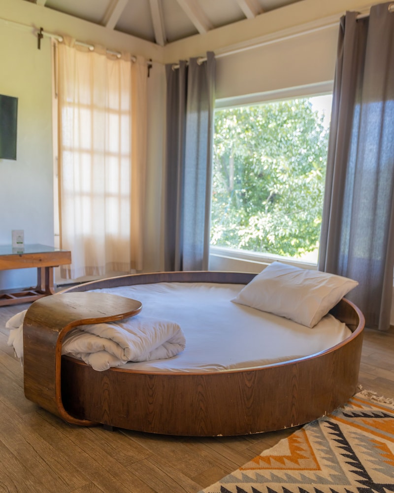 seclude palampur