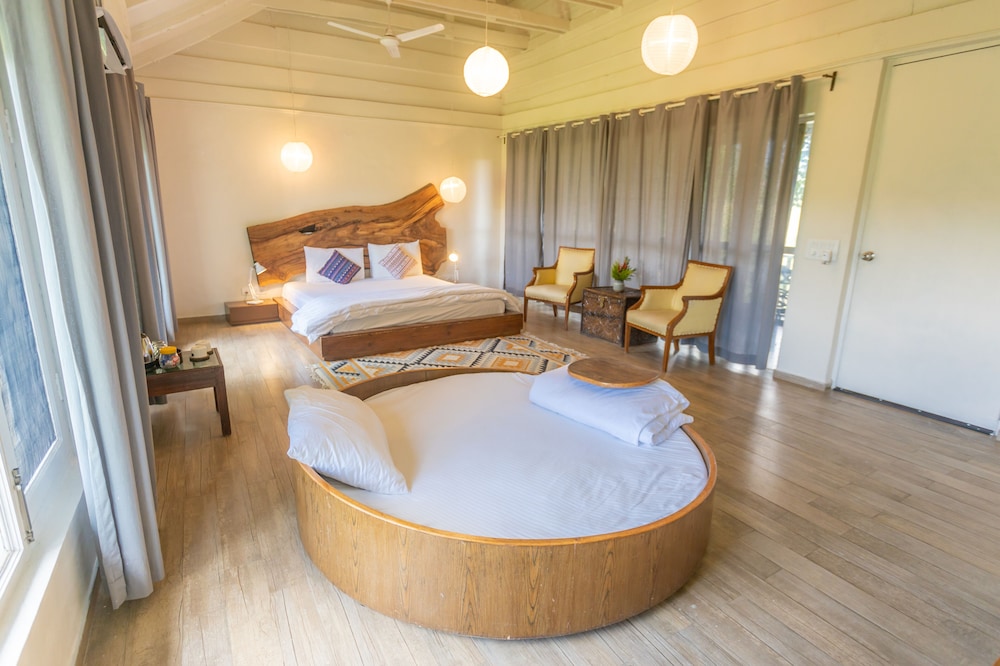 seclude palampur