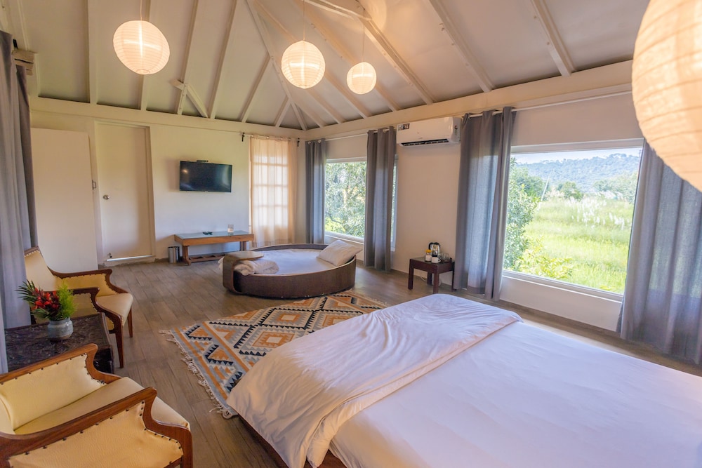 seclude palampur