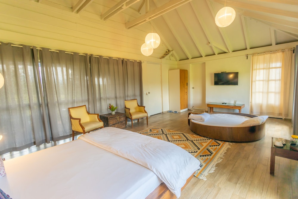 seclude palampur