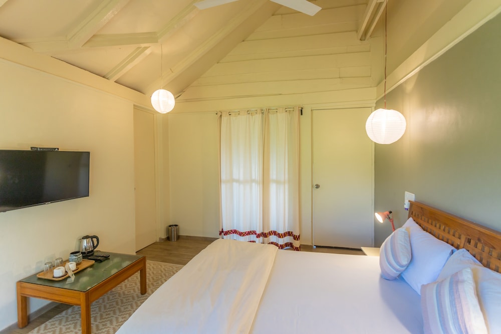 seclude palampur