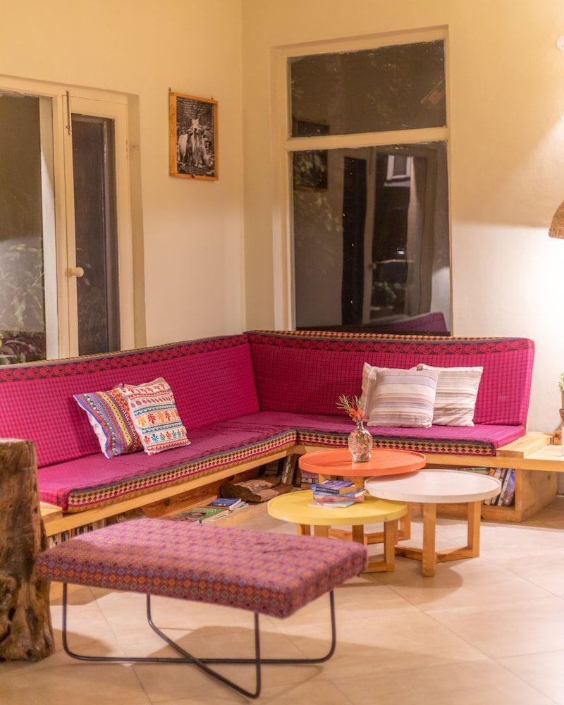 seclude palampur