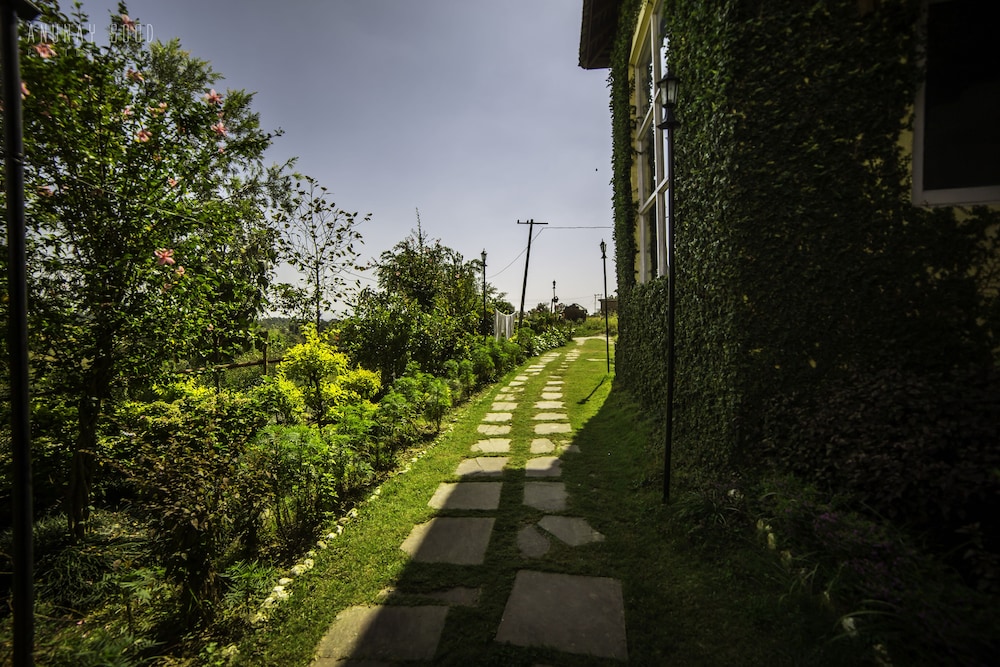 seclude palampur