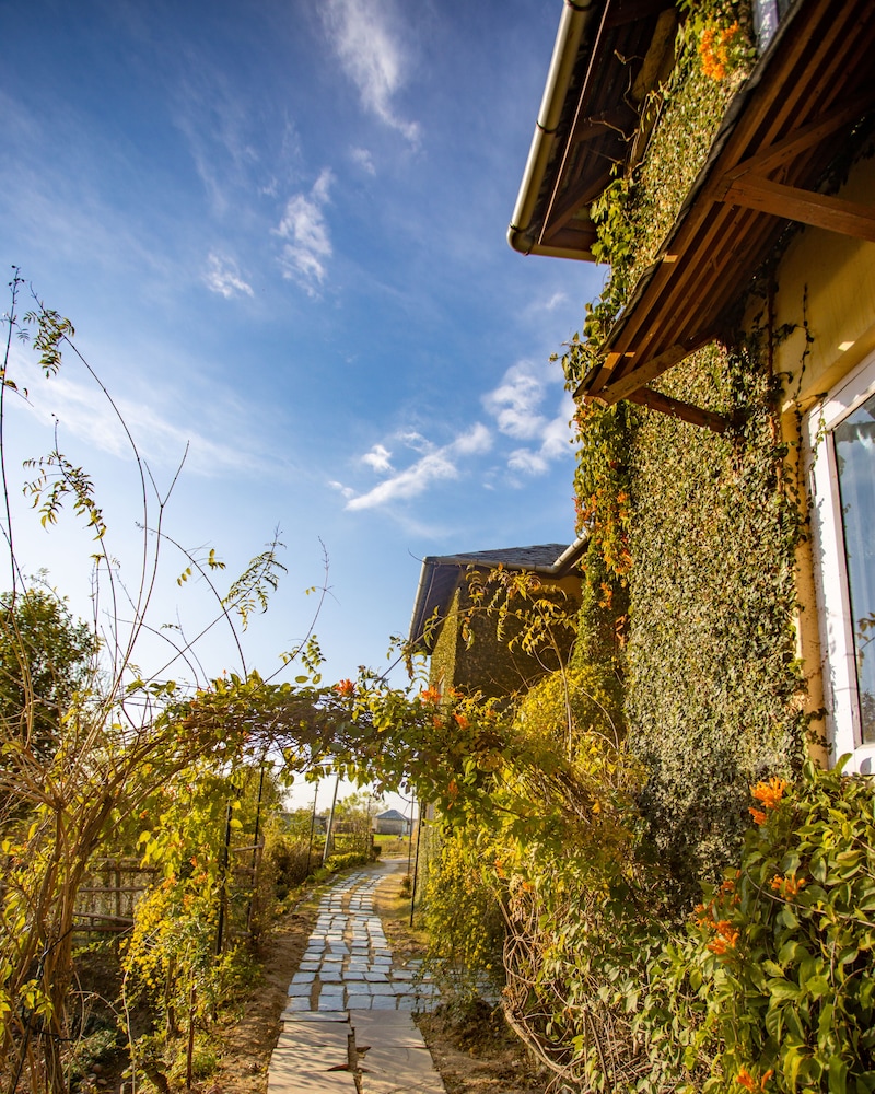 seclude palampur