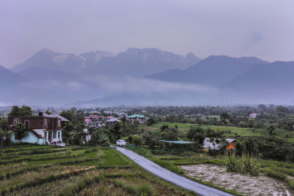 seclude palampur