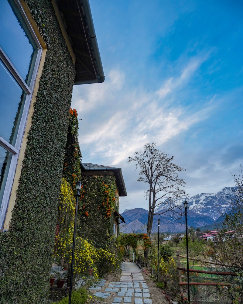seclude palampur