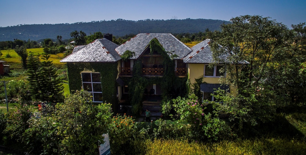 seclude palampur