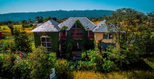 seclude palampur