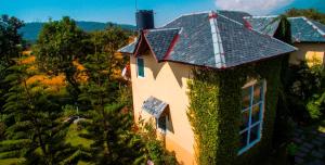 seclude palampur