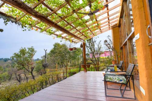 seclude palampur