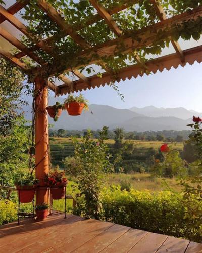 seclude palampur