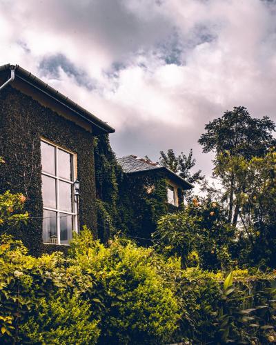 seclude palampur