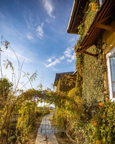 seclude palampur