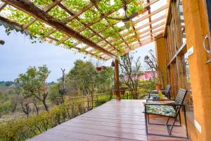 seclude palampur