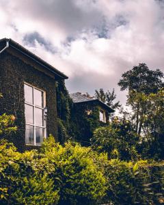 seclude palampur