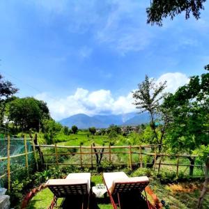 seclude palampur