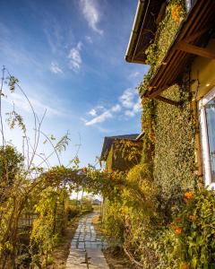 seclude palampur