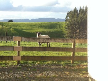 mangawhai retreat apartments