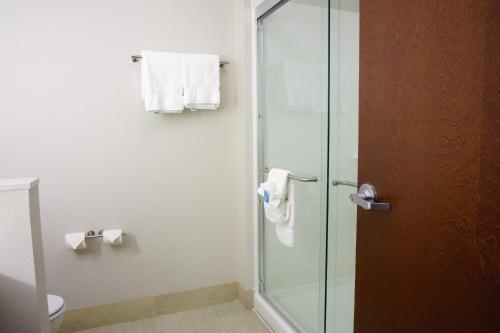 holiday inn express and suites omaha millard area