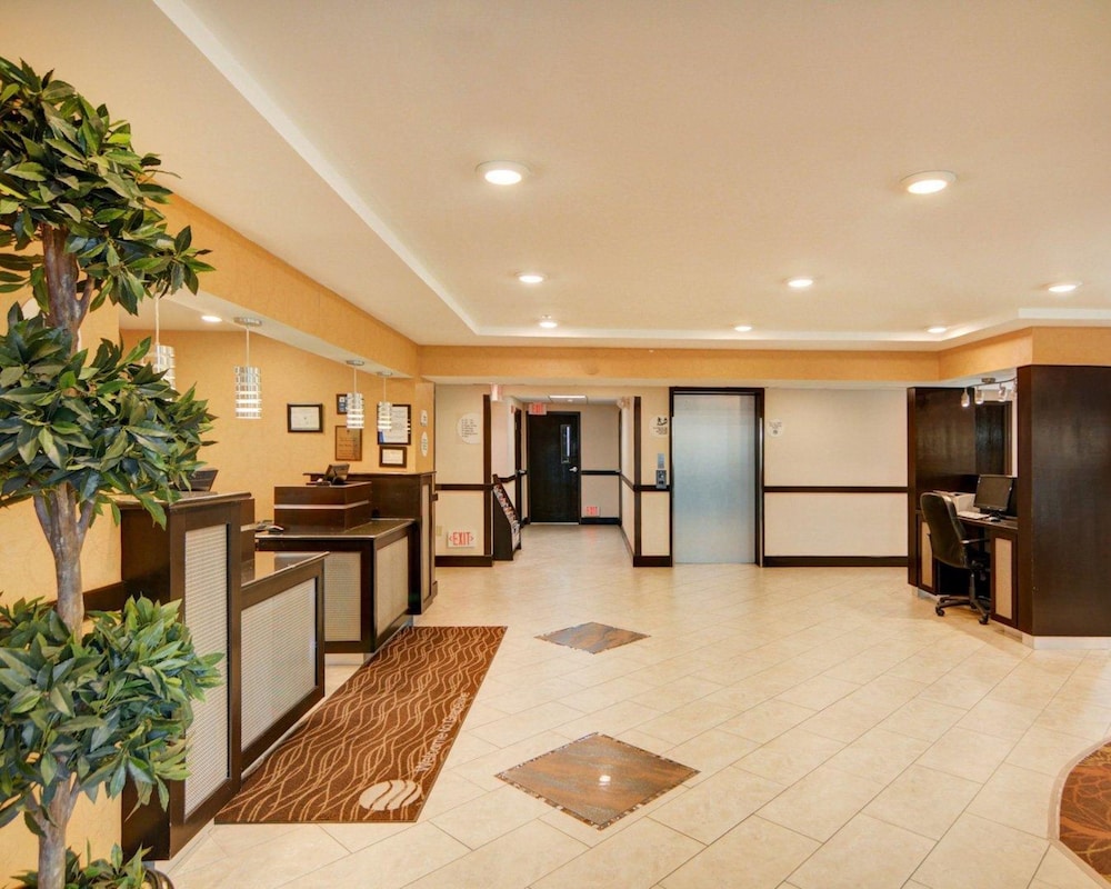 comfort inn grapevine near dfw airport
