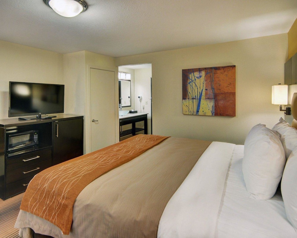 comfort inn grapevine near dfw airport