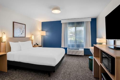 comfort inn grapevine near dfw airport