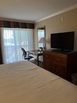 hotel xola