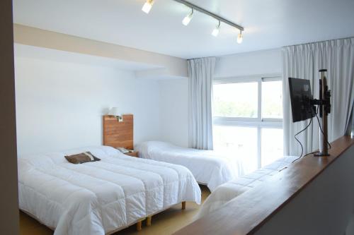 syrah suites