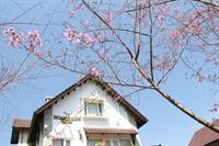 hoang loc villa hotel