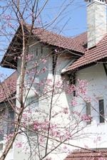 hoang loc villa hotel
