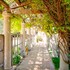 calipaso winery