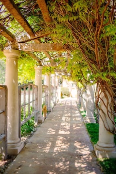 calipaso winery