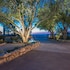calipaso winery