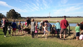 discovery parks margaret river