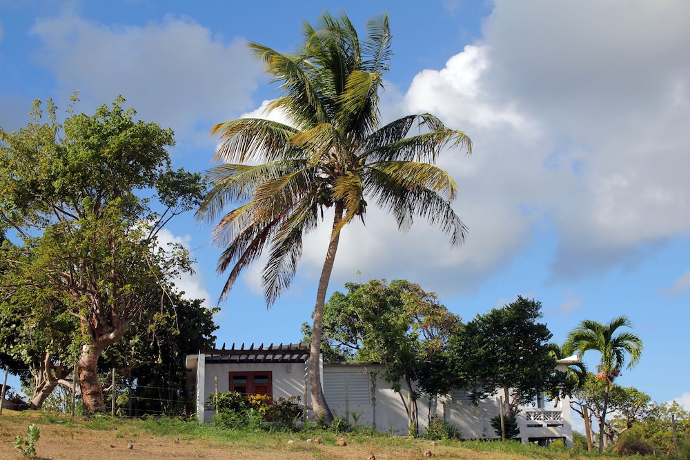 vieques