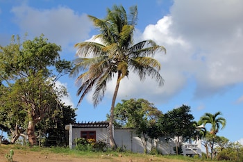 vieques