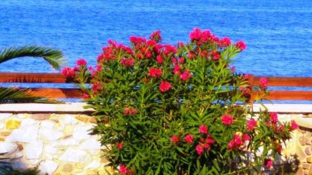 lesvos