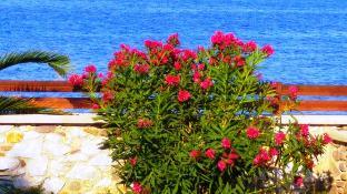 lesvos