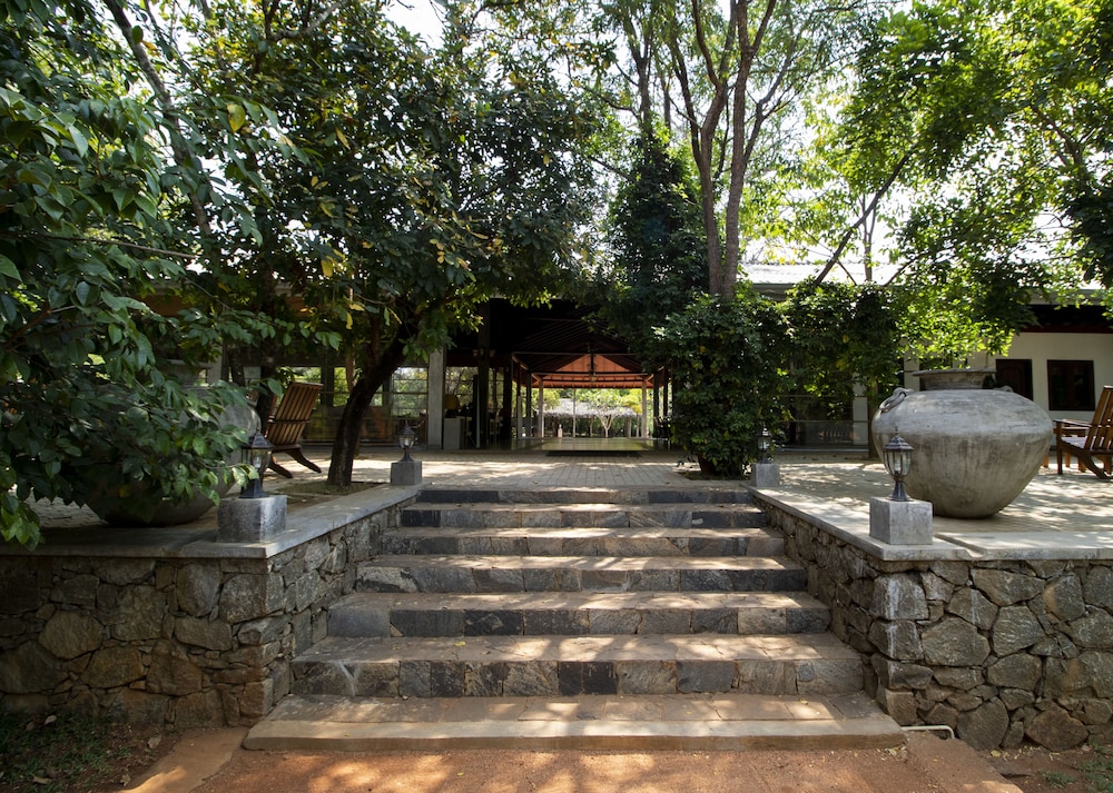 amaara forest hotel sigiriya