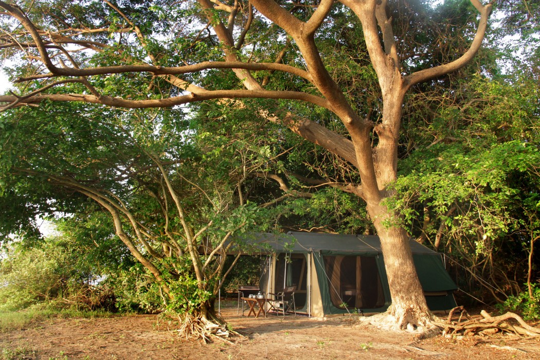 the yala camping